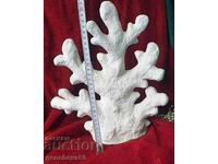 Coral figurine for office and home decor