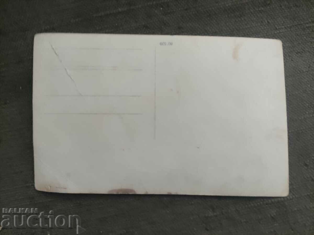 Το διευθυντικό προσωπικό των νηπιαγωγείων στο χωριό Νοβοσέλτσι 1936 με τιμή € 75.56 | 147.78 BGN Το διευθυντικό προσωπικό των νηπιαγωγείων στο χωριό Νοβοσέλτσι 1936 με τιμή € 75.56 | 147.78 BGN