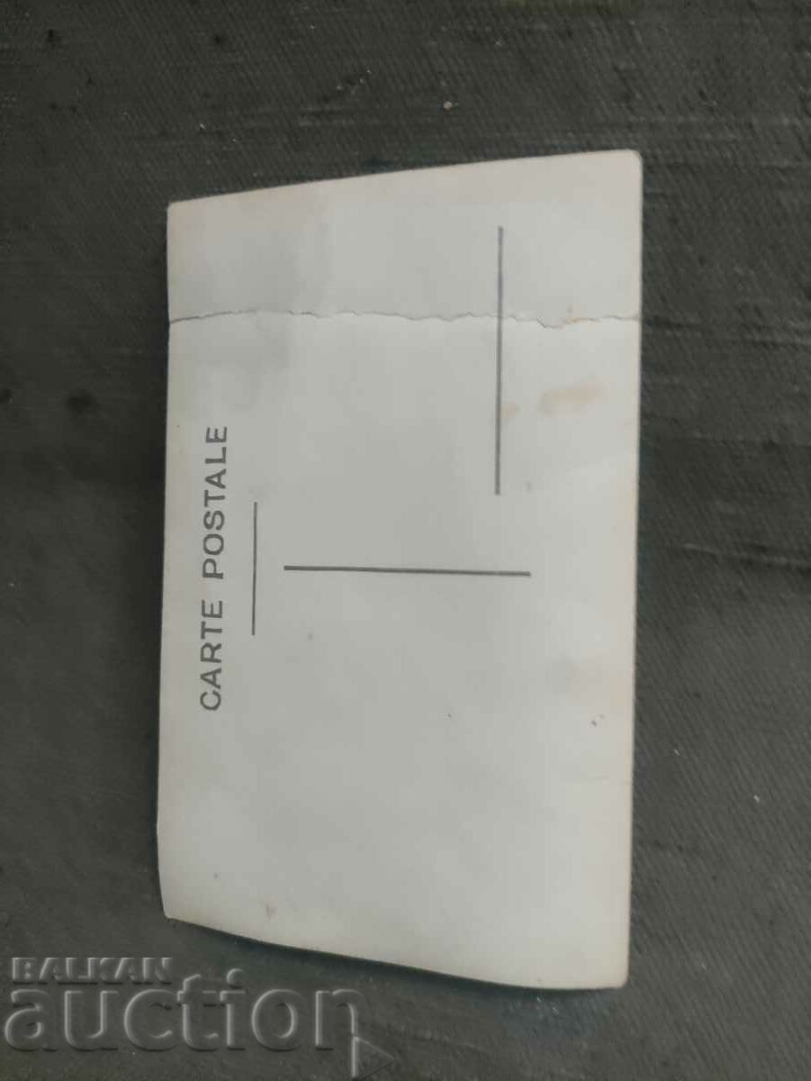 Donkey women with price 30.00 BGN | € 15.34 Donkey women with price 30.00 BGN | € 15.34