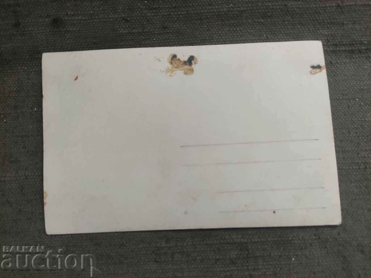 Children, sheep, meadow with price 40.00 BGN | € 20.45 Children, sheep, meadow with price 40.00 BGN | € 20.45