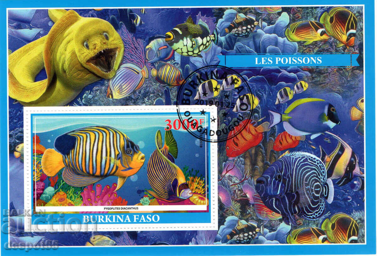 2019. Μπουρκίνα Φάσο. Πανίδα – Ψάρια. Παράνομα γραμματόσημα. ΟΙΚΟΔΟΜΙΚΟ ΤΕΤΡΑΓΩΝΟ.