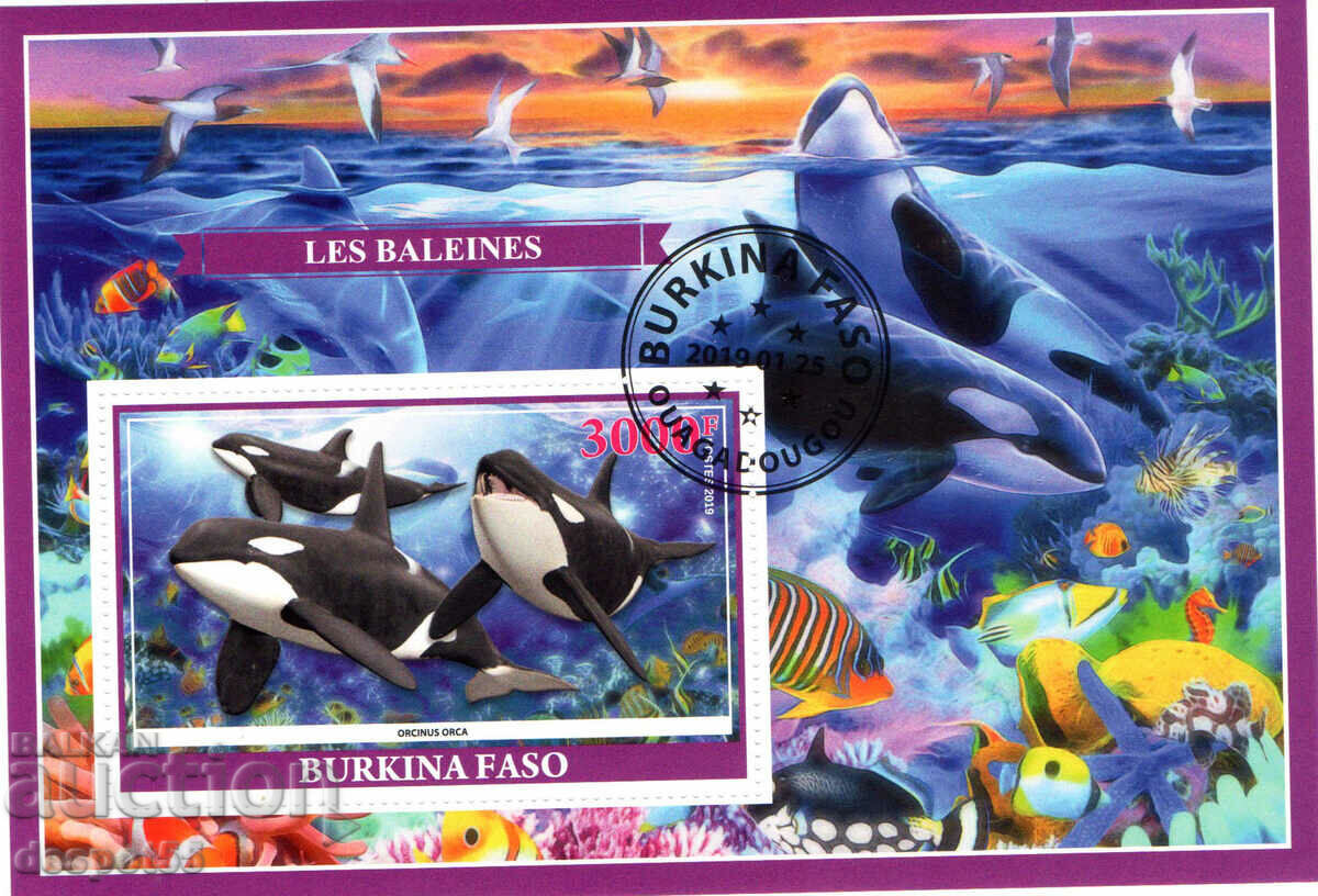 2019. Burkina Faso. Fauna - Dolphins. Illegal Stamps. Block.