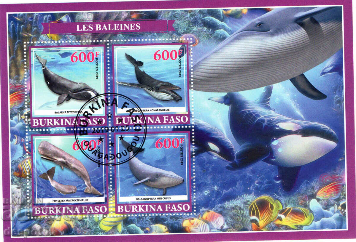 2019. Burkina Faso. Fauna - Delfinii. Timbre ilegale. Bloc.