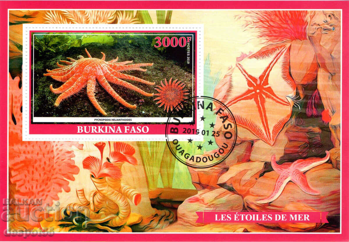 2019. Burkina Faso. Sea stars. Illegal Stamps. Block.