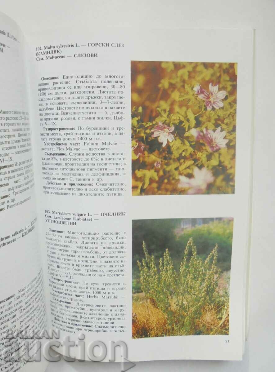 Auction Phytotherapy and folk medicine - Radi Ovcharov and others. 1992 Auction Phytotherapy and folk medicine - Radi Ovcharov and others. 1992