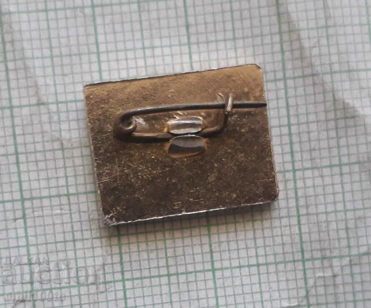 Badge - Torpedo Ship Daring - 5