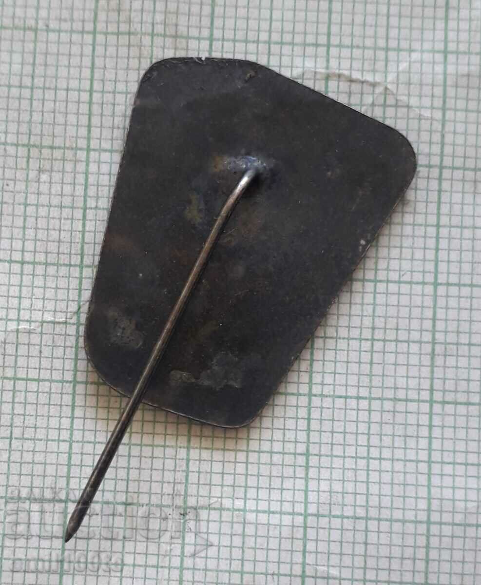 Delivery of Badge - Maritsa East 10 years of Komsomol patronage Delivery of Badge - Maritsa East 10 years of Komsomol patronage