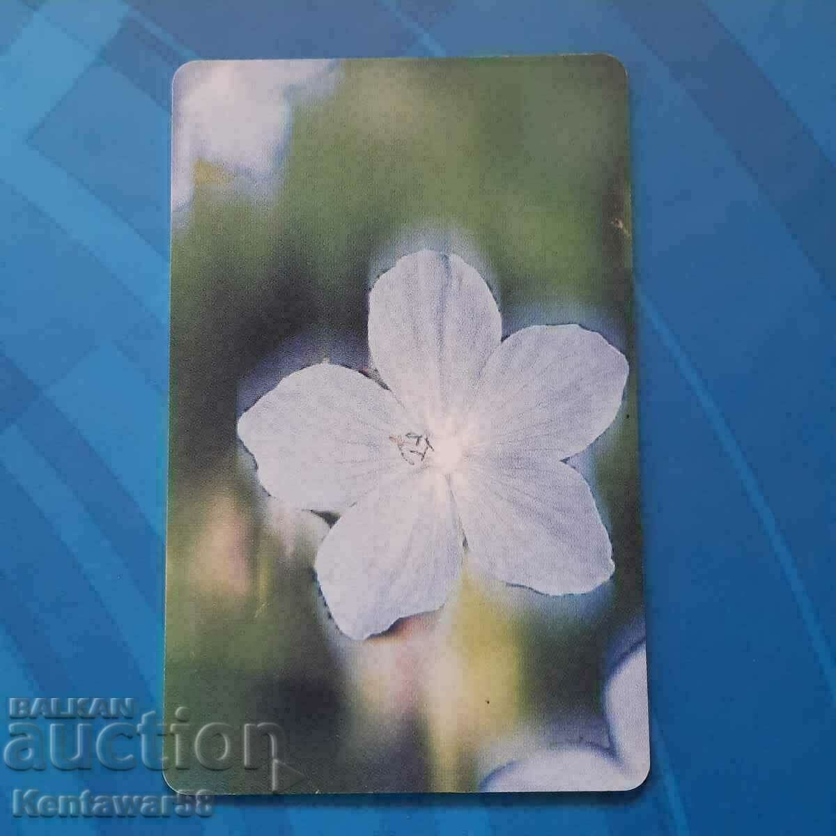 Phonokarta Bulfon. with price 0.70 BGN | € 0.36 Phonokarta Bulfon. with price 0.70 BGN | € 0.36