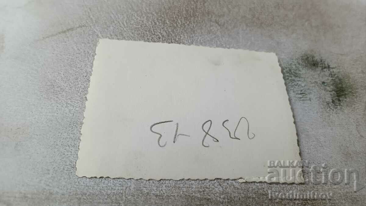 Photo Varna A woman and a little girl on a vintage bicycle with price 3.45 BGN | € 1.76 Photo Varna A woman and a little girl on a vintage bicycle with price 3.45 BGN | € 1.76