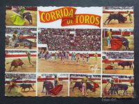 A bullfight