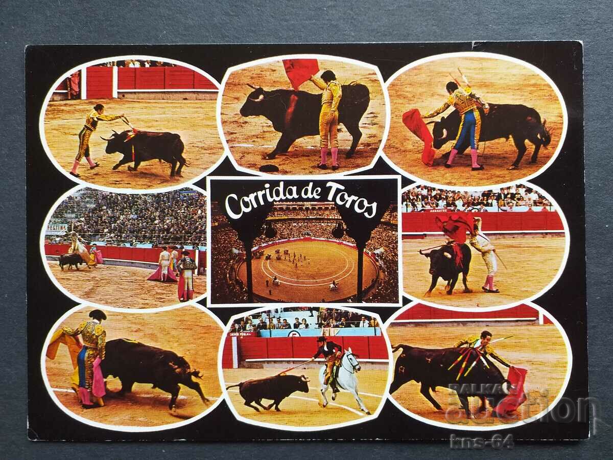 A bullfight