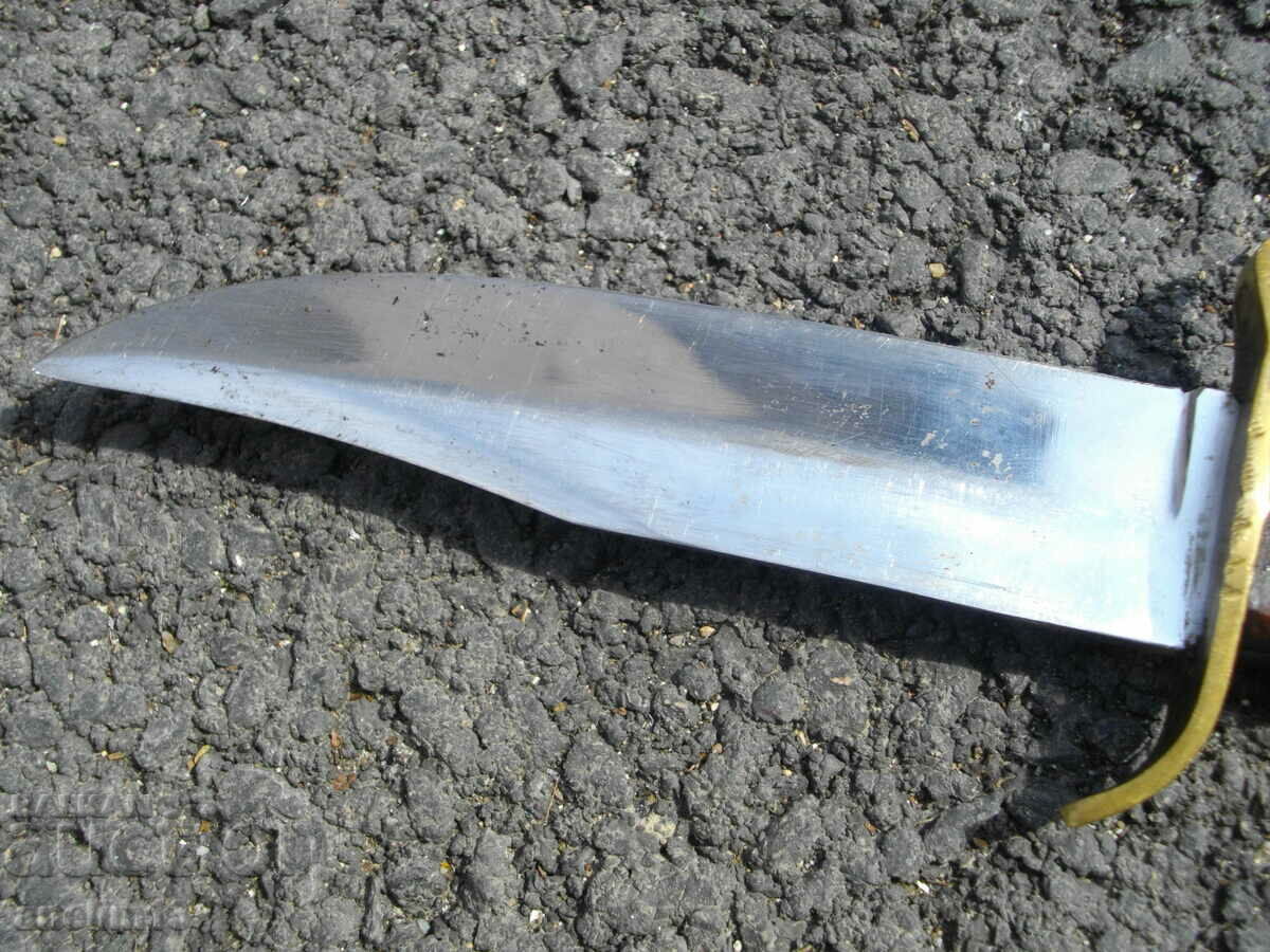 STAR BUCK - 5 STAR BUCK - 5