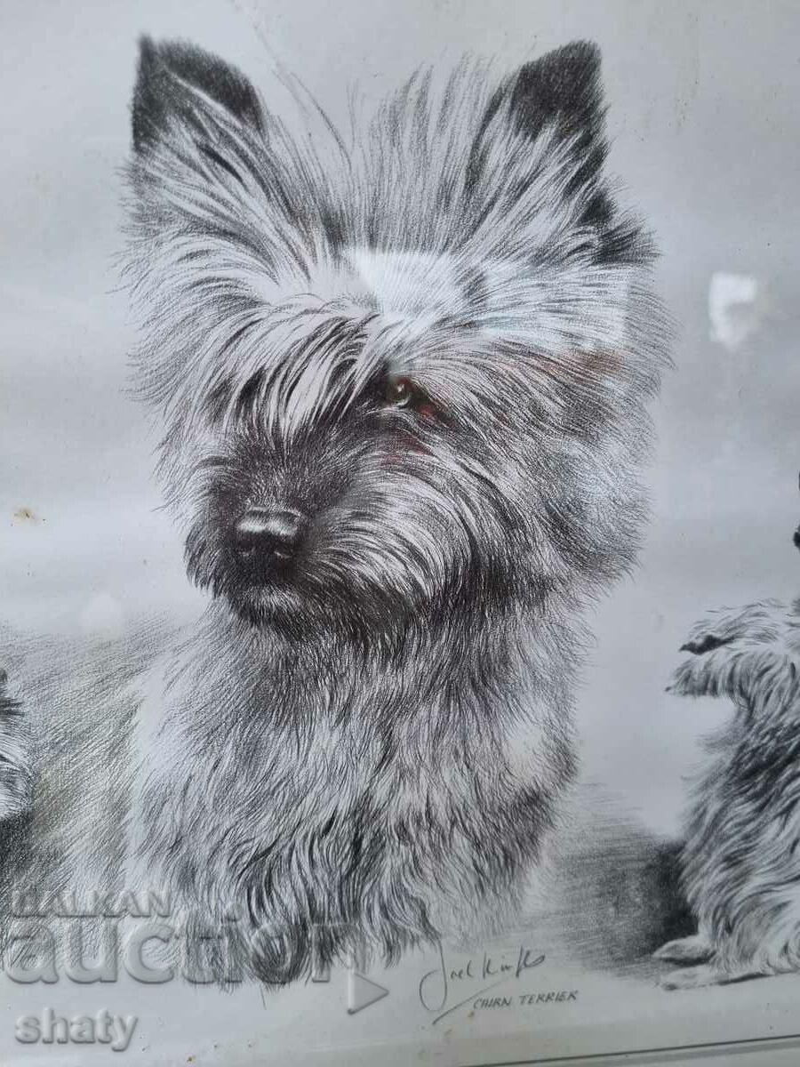 Author's picture. Graphics with price 55.00 BGN | € 28.12 Author's picture. Graphics with price 55.00 BGN | € 28.12