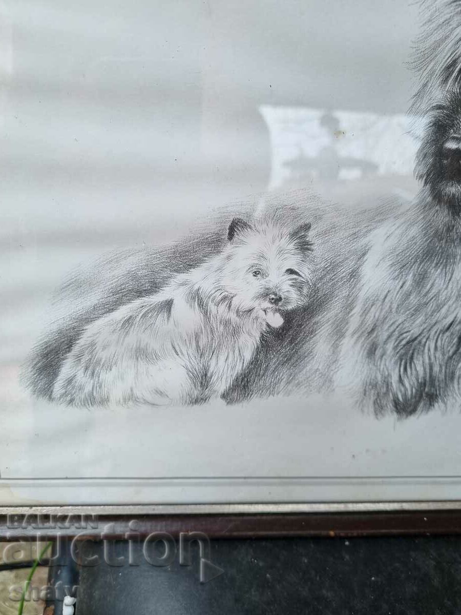 Auction Author's picture. Graphics Auction Author's picture. Graphics