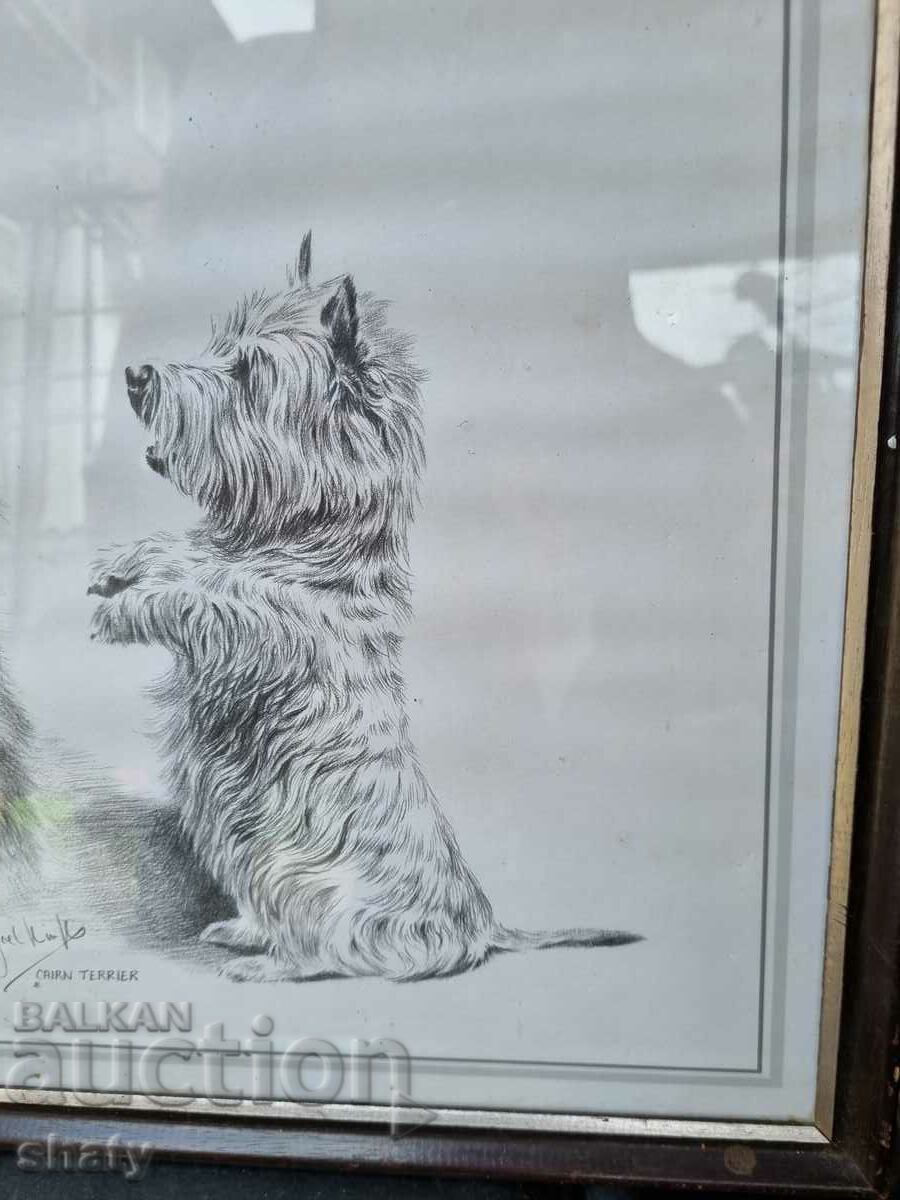 Delivery of Author's picture. Graphics Delivery of Author's picture. Graphics