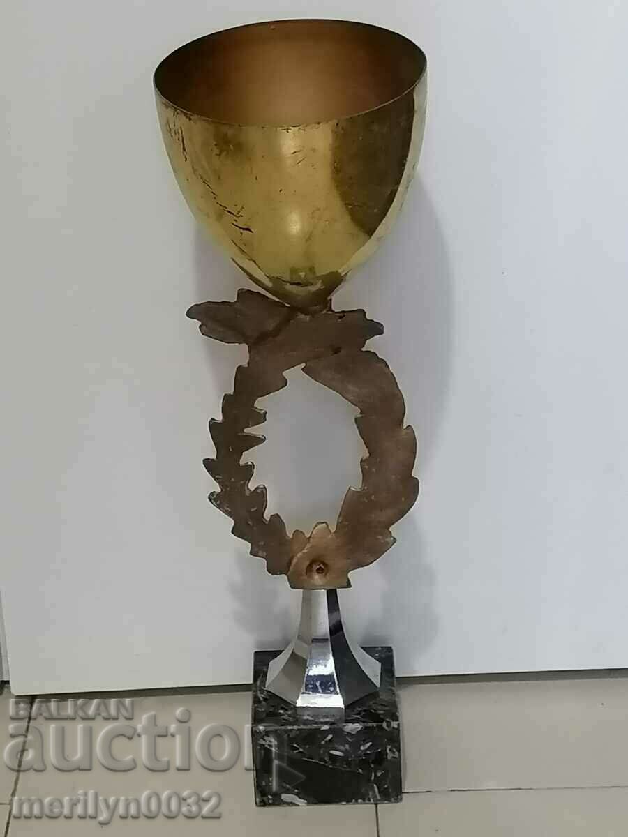 Laureat al cupei premiului, campion, excelent - 6