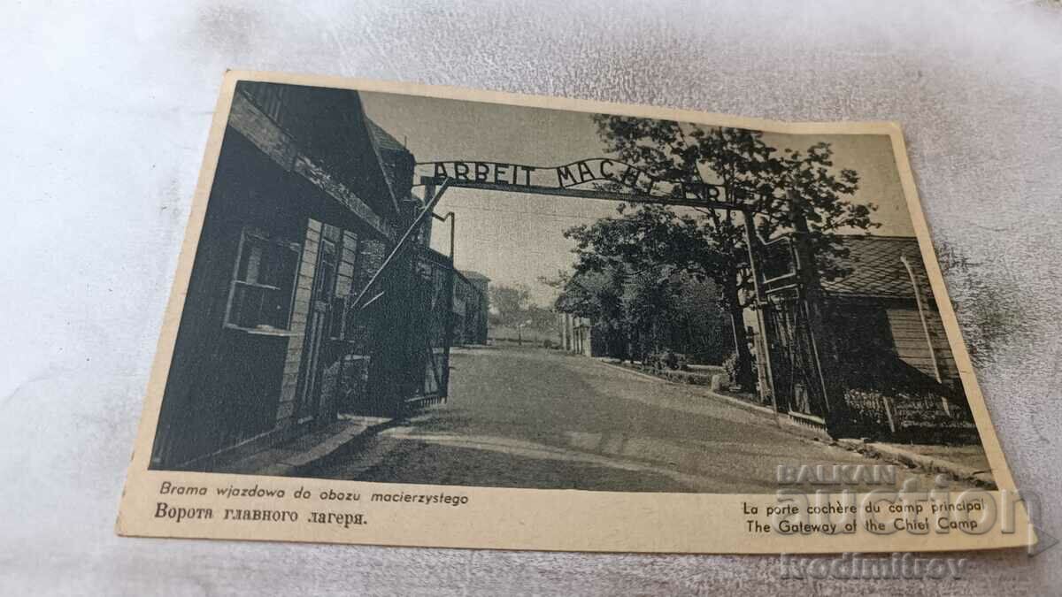 Postcard Auschwitz concentration camp Gate of the main camp