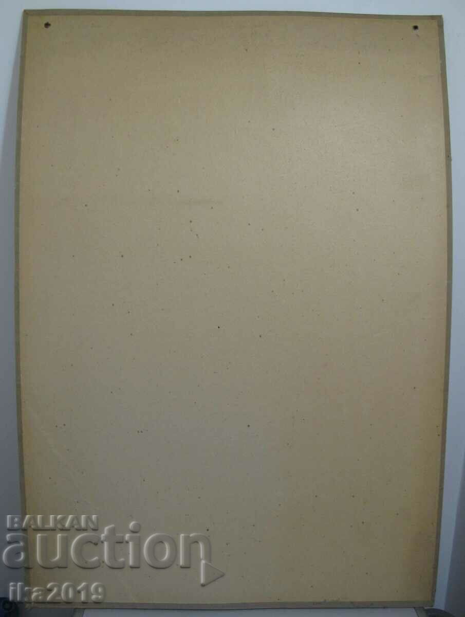 Licitație Afiș de film original ultra rar din 1941, VULTURILE BULGĂRĂ.