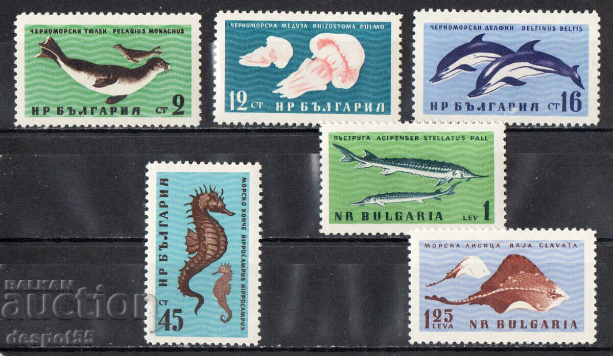 1961. Bulgaria. Black Sea fauna.