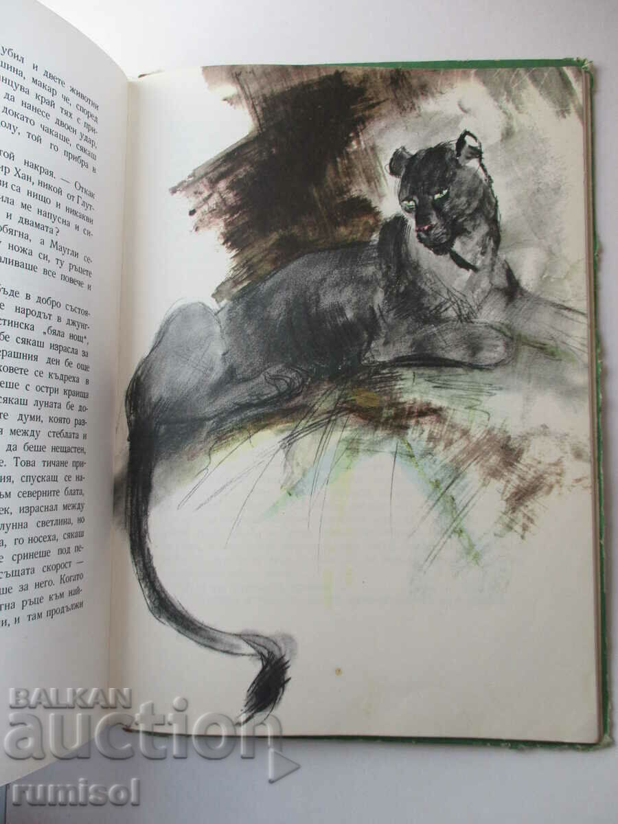 Auction Jungle Book - Rudyard Kipling Auction Jungle Book - Rudyard Kipling