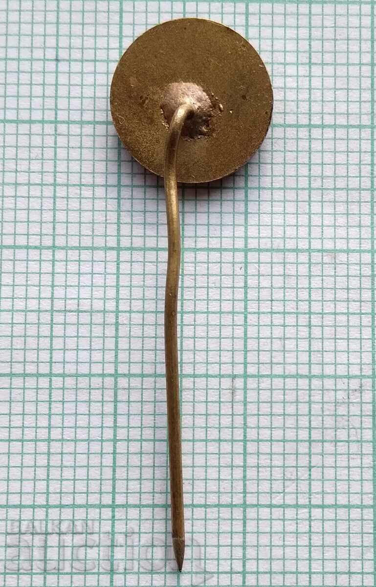 Auction 12738 Badge - TPP Maritsa East Auction 12738 Badge - TPP Maritsa East