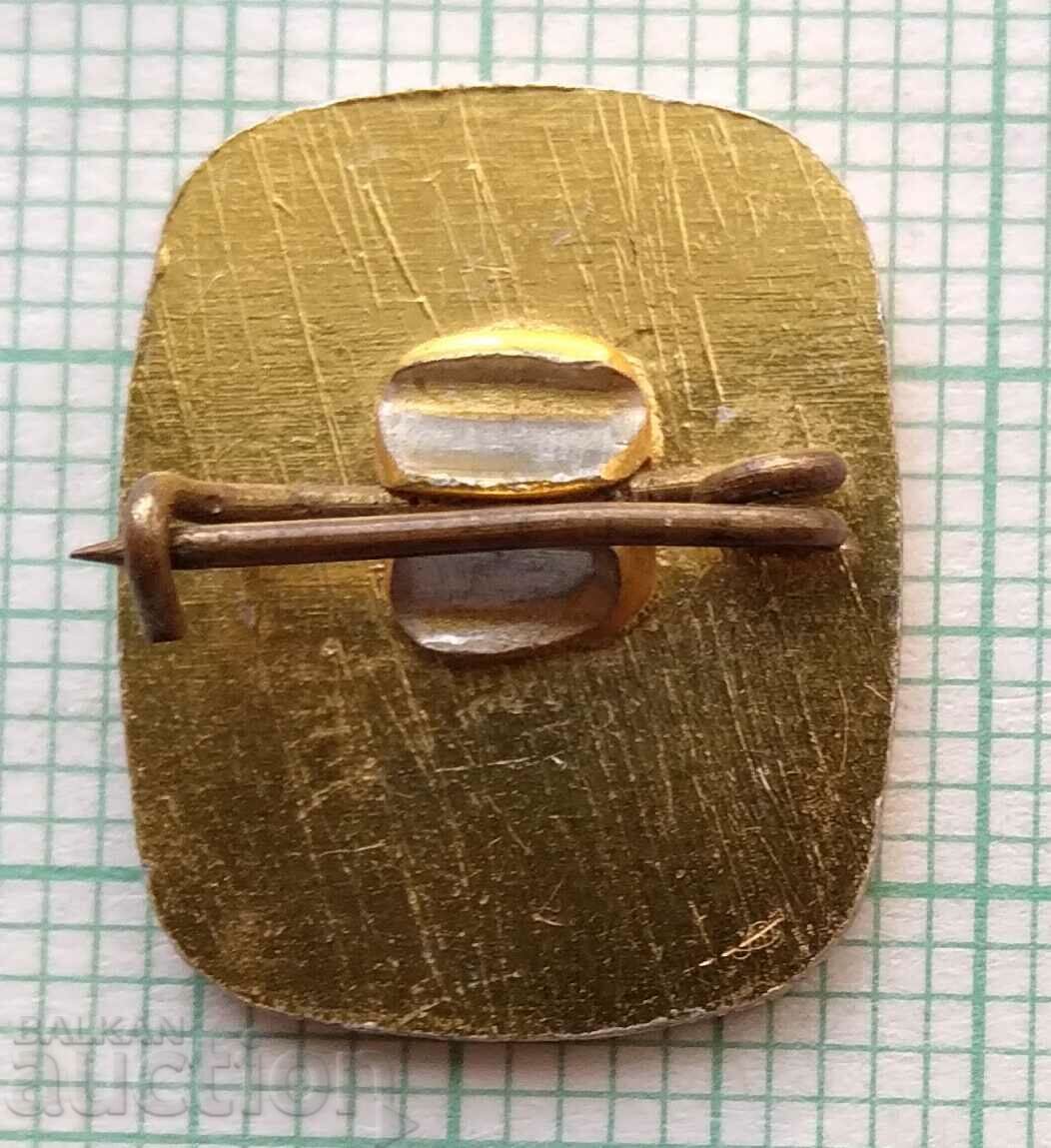 12745 Badge - coat of arms of the city of Koprivshtitsa with price 1.50 BGN | € 0.77 12745 Badge - coat of arms of the city of Koprivshtitsa with price 1.50 BGN | € 0.77