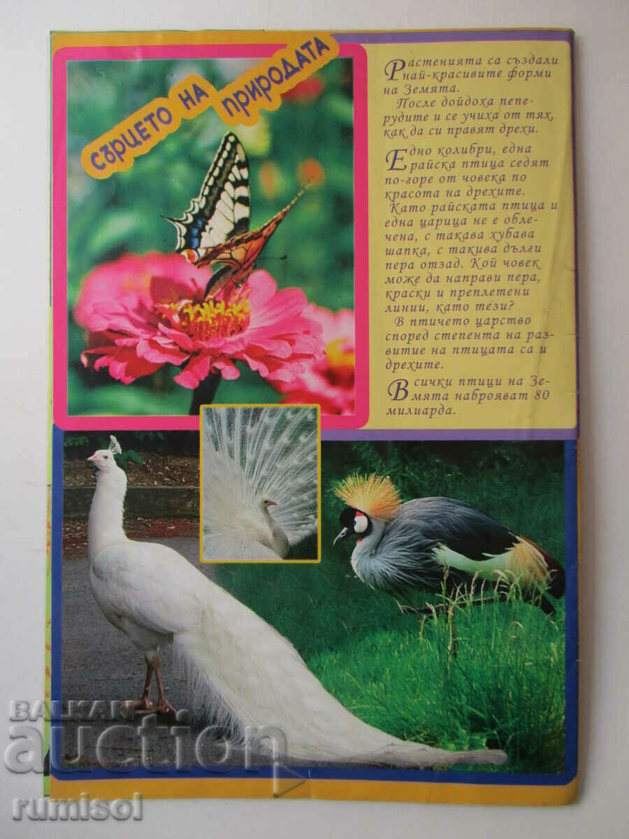 Heli Meli - Solar School for Children of the Cosmos - 7