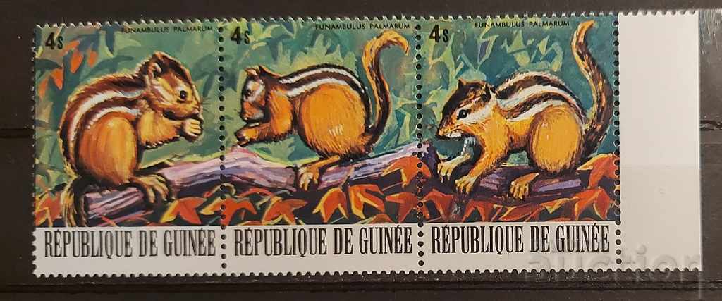 Guineea 1977 Faună / Animale / Veverița de palmier MNH