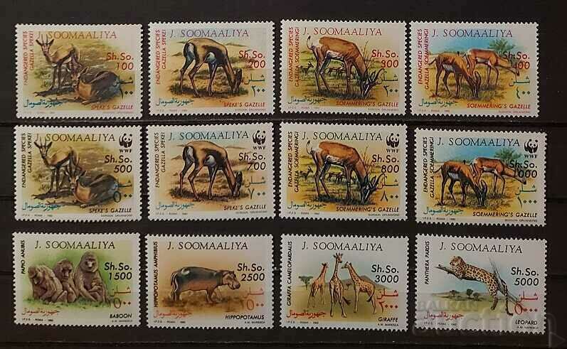 Somalia 1992 WWF Fauna 81,75 € MNH