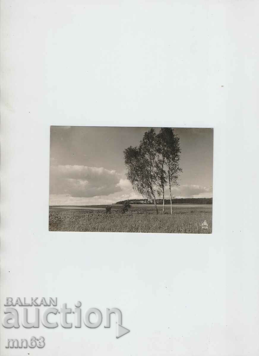 Κάρτα - Δραγκαλεύτσι - 1944