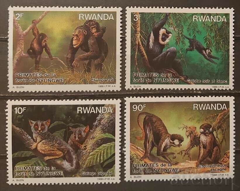 Rwanda 1988 Fauna/Monkeys MNH