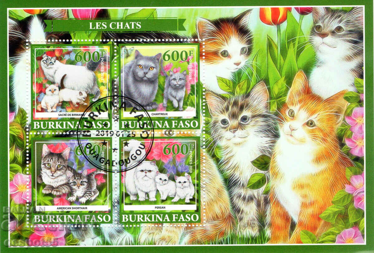 2019. Μπουρκίνα Φάσο. Πανίδα - Γάτες. Παράνομα γραμματόσημα. ΟΙΚΟΔΟΜΙΚΟ ΤΕΤΡΑΓΩΝΟ.
