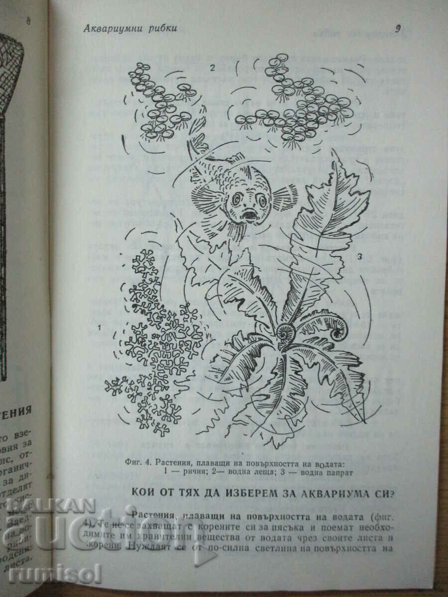 Delivery of Aquarium Fish - Georgi Kondov