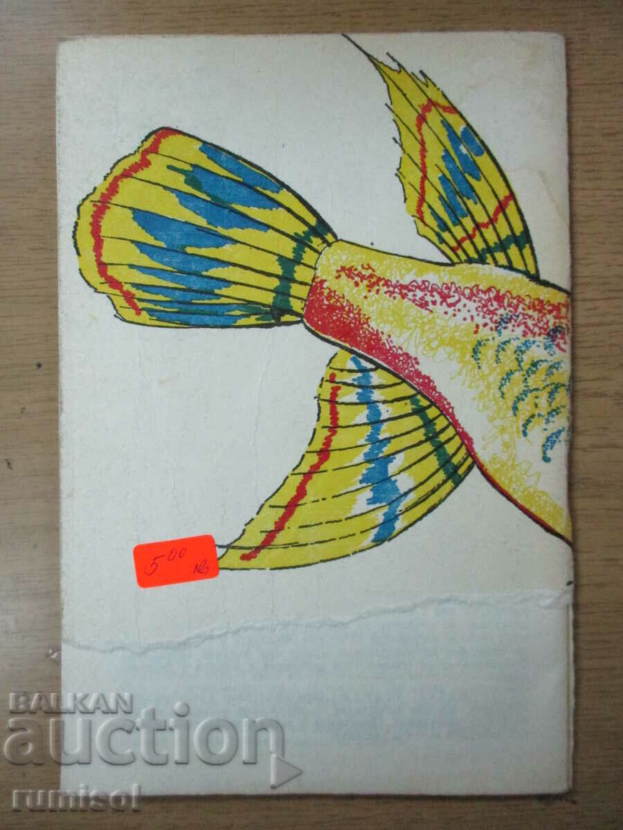 Aquarium Fish - Georgi Kondov - 7