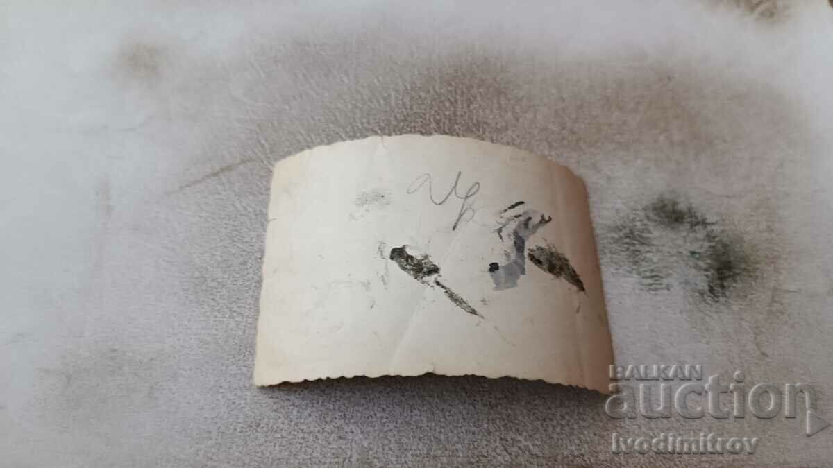 Εικόνα Έξι παιδιά μπροστά στην εξώπορτα ενός παλιού εξοχικού σπιτιού με τιμή 1.35 BGN | € 0.69