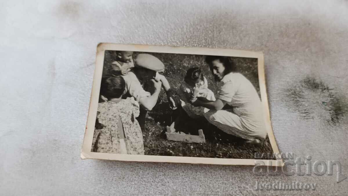Fotografie Un bărbat, o femeie și un copil culeg fructe de pe o pajiște