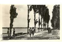 Old postcard - Lom, Coastal Promenade