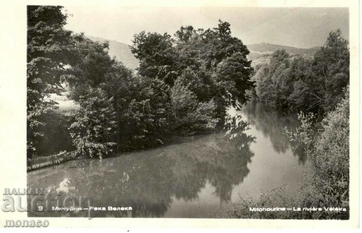 Παλιά καρτ ποστάλ - Michurin, Veleka r