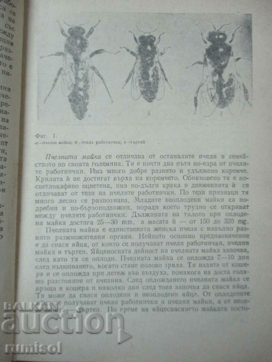 Delivery of Tips for the amateur beekeeper - Bijo Bizhev