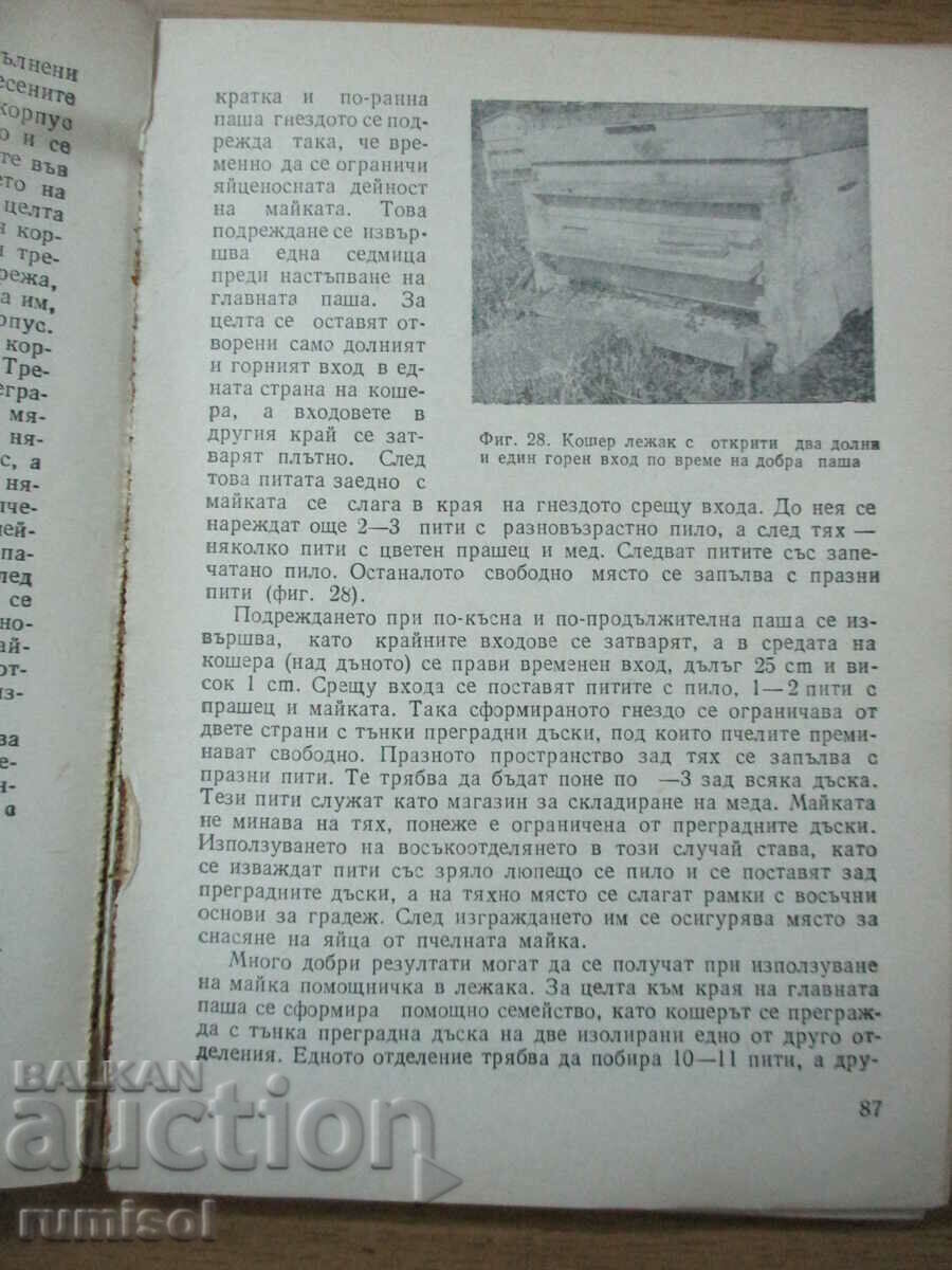 Tips for the amateur beekeeper - Bijo Bizhev - 5