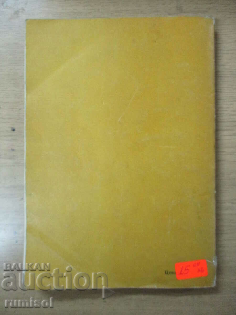 Tips for the amateur beekeeper - Bijo Bizhev - 6