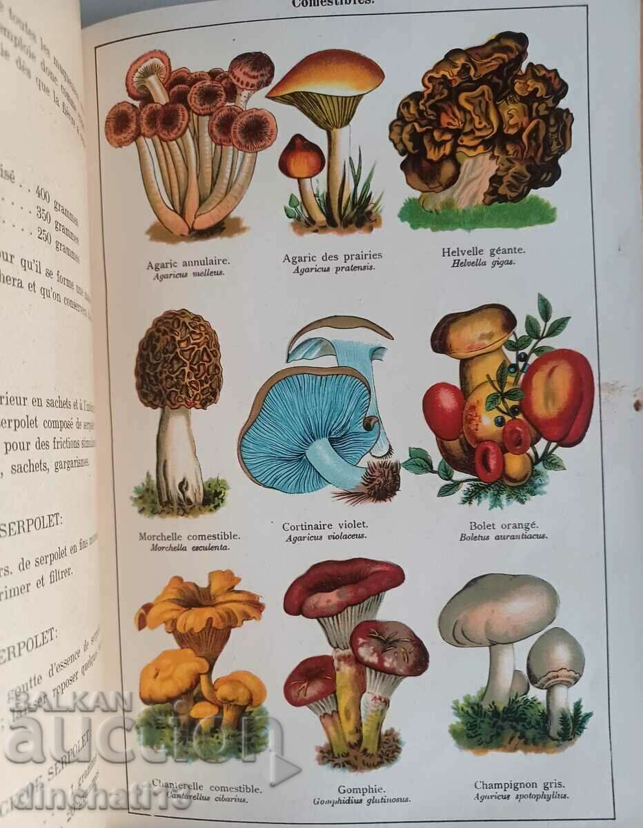 MON DOCTEUR. Medicine and Hygiene. Plantes Médicinales. D - 5 MON DOCTEUR. Medicine and Hygiene. Plantes Médicinales. D - 5