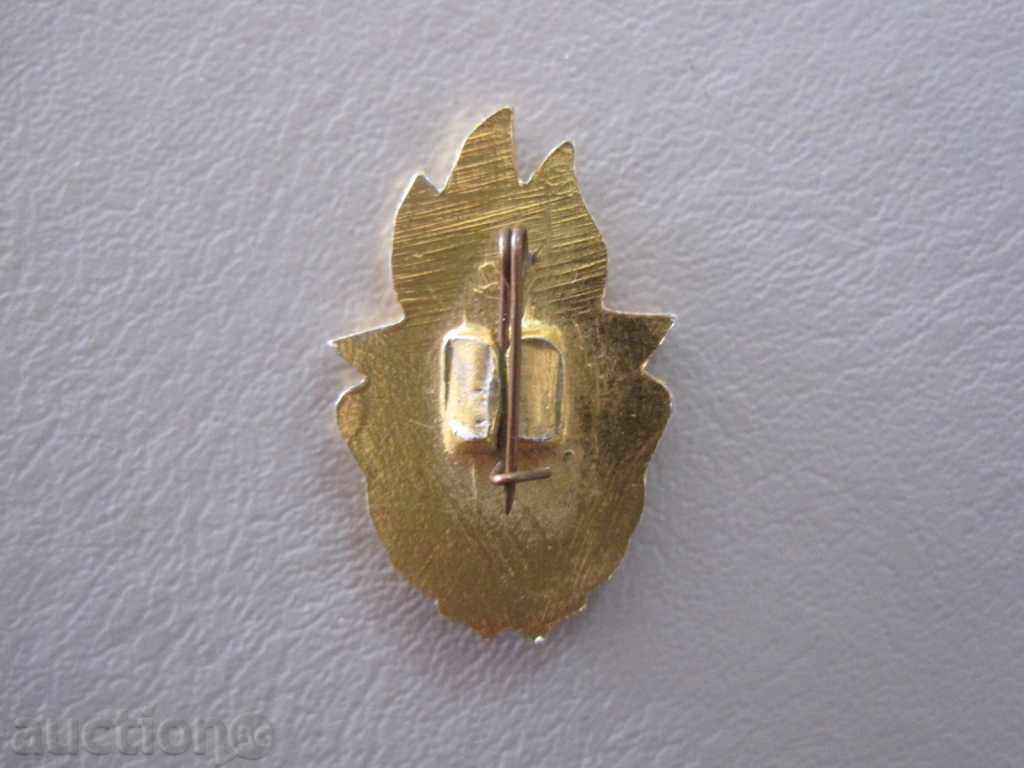 Licitație Insigna-Întotdeauna gata-Gradul III Licitație Insigna-Întotdeauna gata-Gradul III