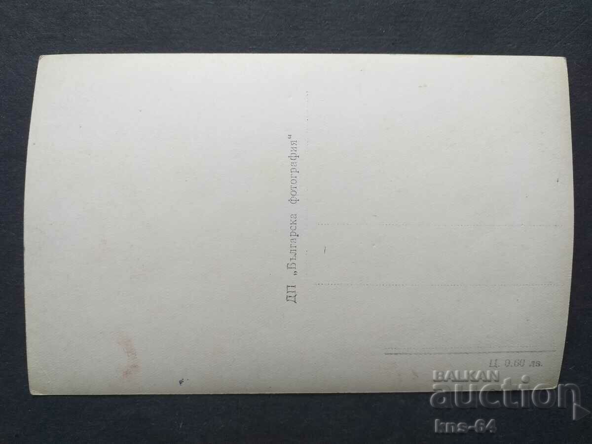 Κοπρίβστιτσα με τιμή € 0.61 | 1.19 BGN Κοπρίβστιτσα με τιμή € 0.61 | 1.19 BGN