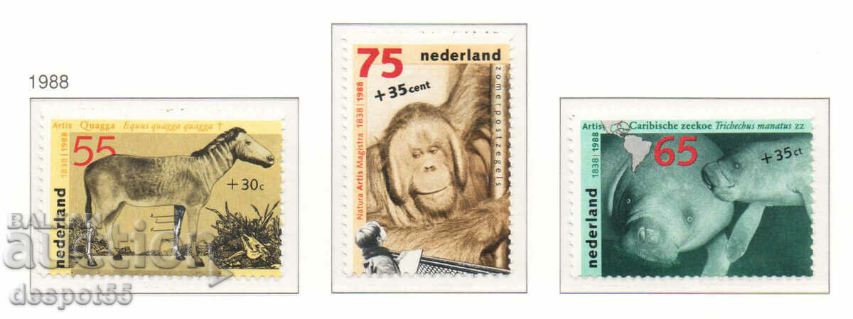 1988. Нидерландия.  Летни марки - Зоологическата градина.