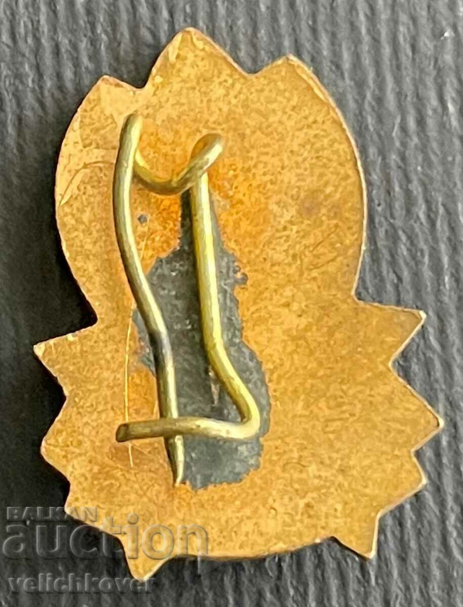 34605 Βουλγαρία υπογραφή Pioneer οργάνωση Σεπτεμβρίου σμάλτο με τιμή 4.00 BGN | € 2.05 34605 Βουλγαρία υπογραφή Pioneer οργάνωση Σεπτεμβρίου σμάλτο με τιμή 4.00 BGN | € 2.05