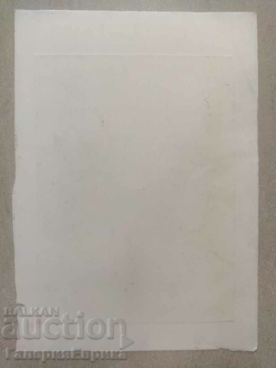 Delivery of Irena Dilkova graphics Delivery of Irena Dilkova graphics