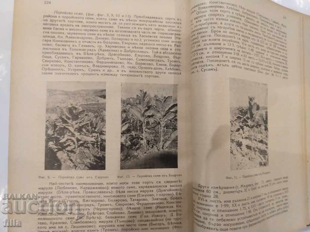 Auction 1935-1938 Tobacco Review, Years 4, 5, 6, 7 Auction 1935-1938 Tobacco Review, Years 4, 5, 6, 7