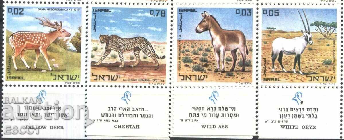 Clean stamps Fauna 1971 from Israel