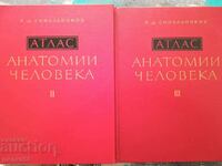 Atlas de anatomie umană. Volumul 2/3 - R.D. Sinelnikov